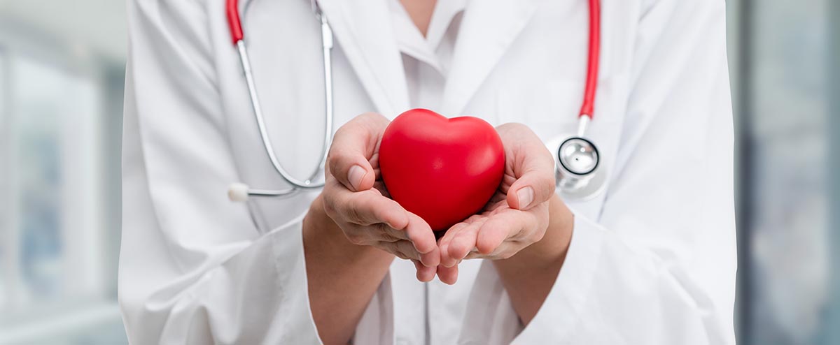 doctor holding a heart